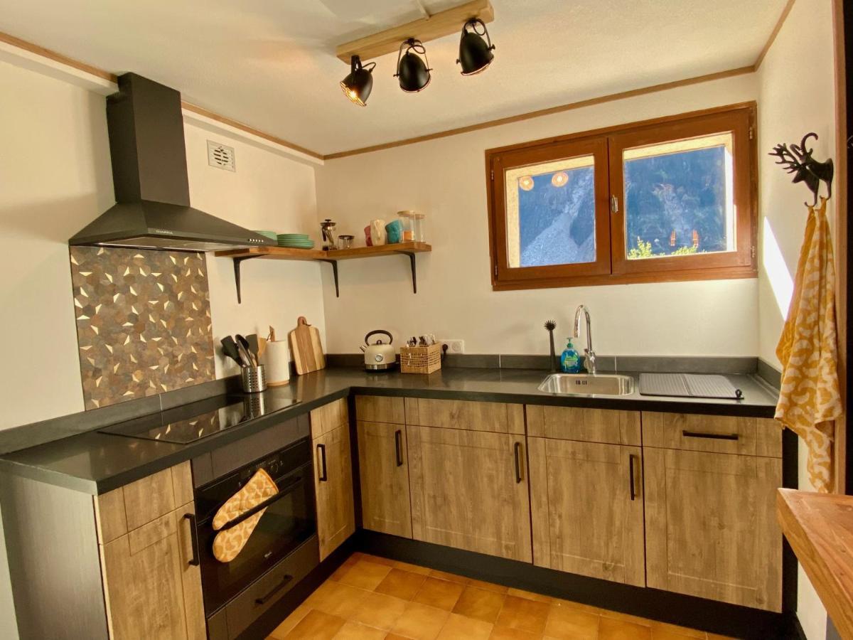 La Petite Cascade, Venosc - Les 2 Alpes Apartment Екстериор снимка